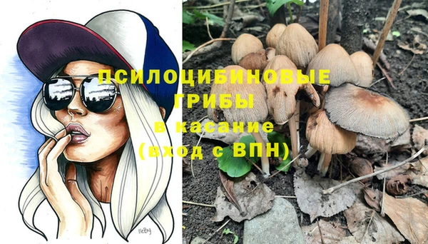прущая мука Арсеньев