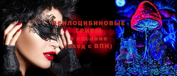 прущая мука Арсеньев