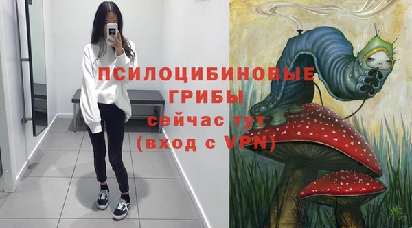 соль ск Армянск