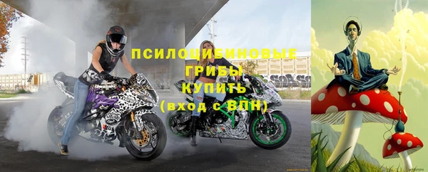 прущая мука Арсеньев